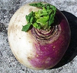 Şalgam Faydaları Nelerdir?